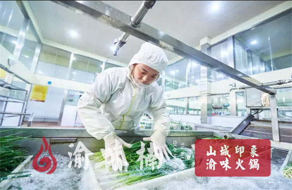 火鍋加盟店怎么選擇適合的品牌？為創(chuàng)業(yè)者排憂解難（圖）_5