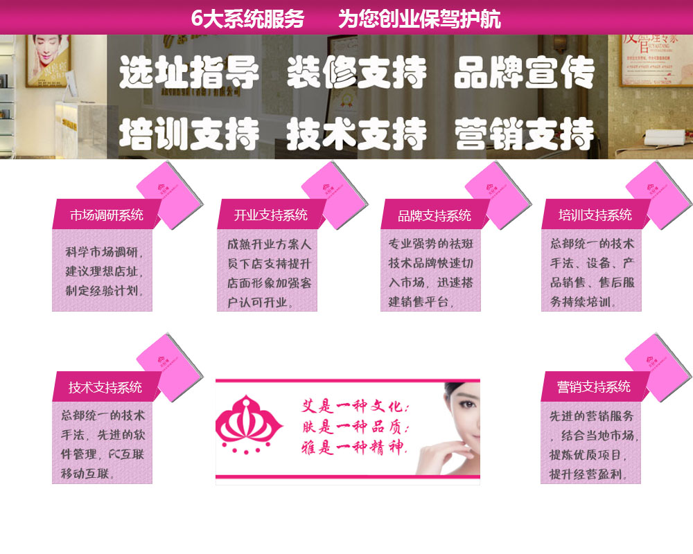 艾膚雅祛斑祛痘投資分析_1