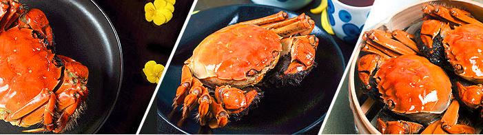 聚蟹客大闸蟹肉质鲜嫩，风味鲜美，极受好评。（图）_1