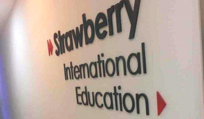 草莓国际少儿英语加盟_2